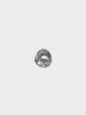 Clam Earring in Silver